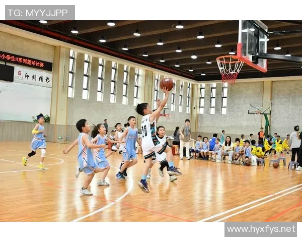 乐球直播NBA免费视频雨燕带你畅享精彩赛事不容错过的篮球盛宴