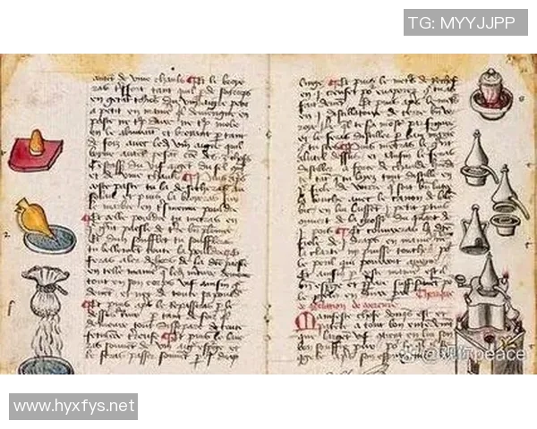 卡尔马与库尔德人章鱼的较量揭示了文化与智慧的碰撞与交融