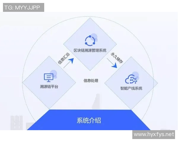 区块链技术的应用前景：打造透明可信的供应链管理体系